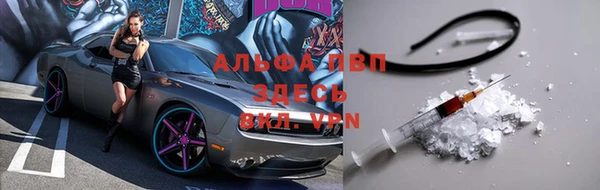 крисы Алзамай