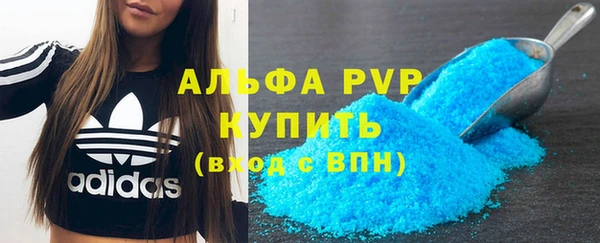 крисы Алзамай