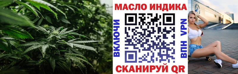 цены   MEGA ONION  ТГК жижа  Петровск-Забайкальский 